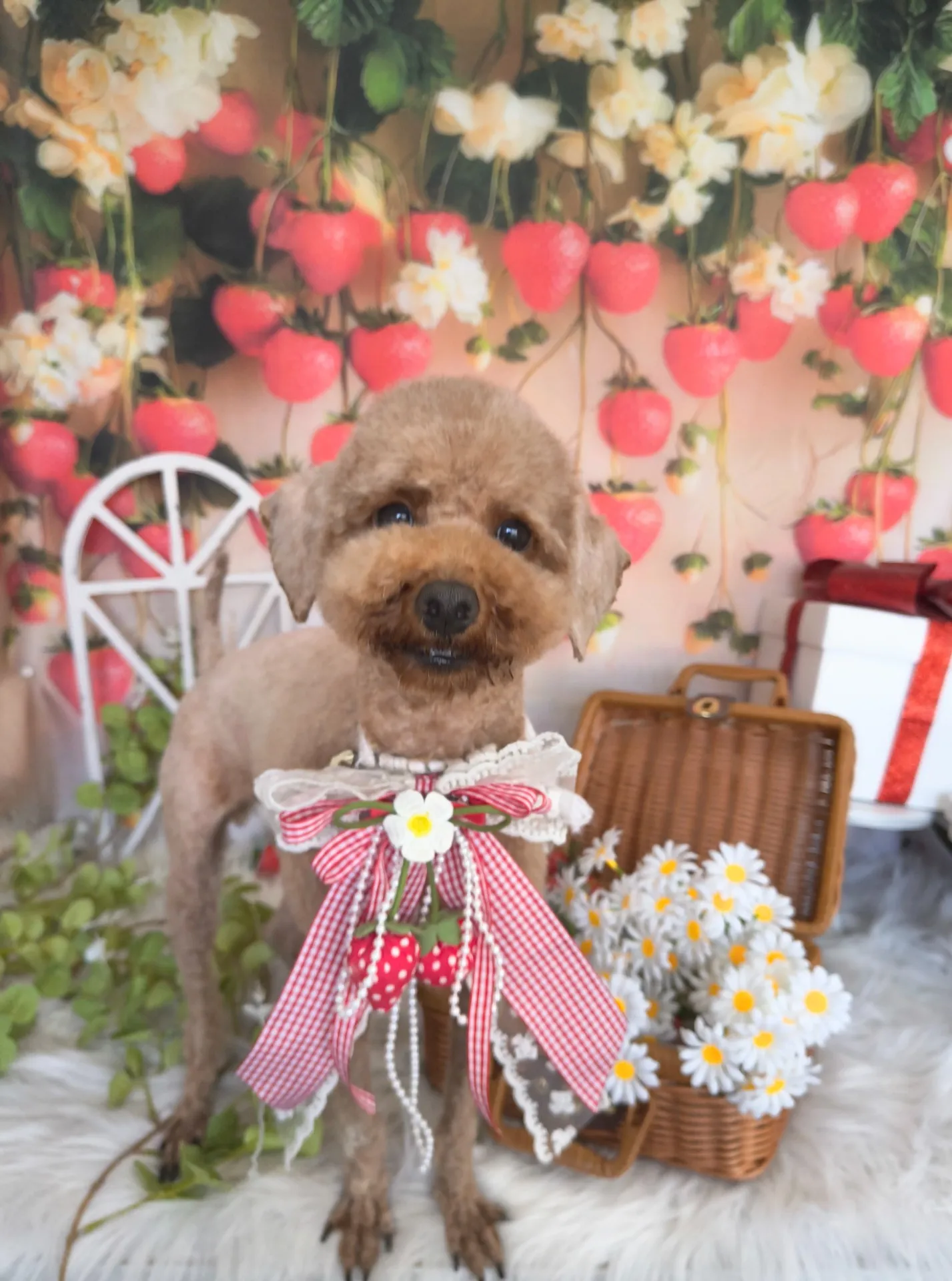 ヤマムラモミジちゃん